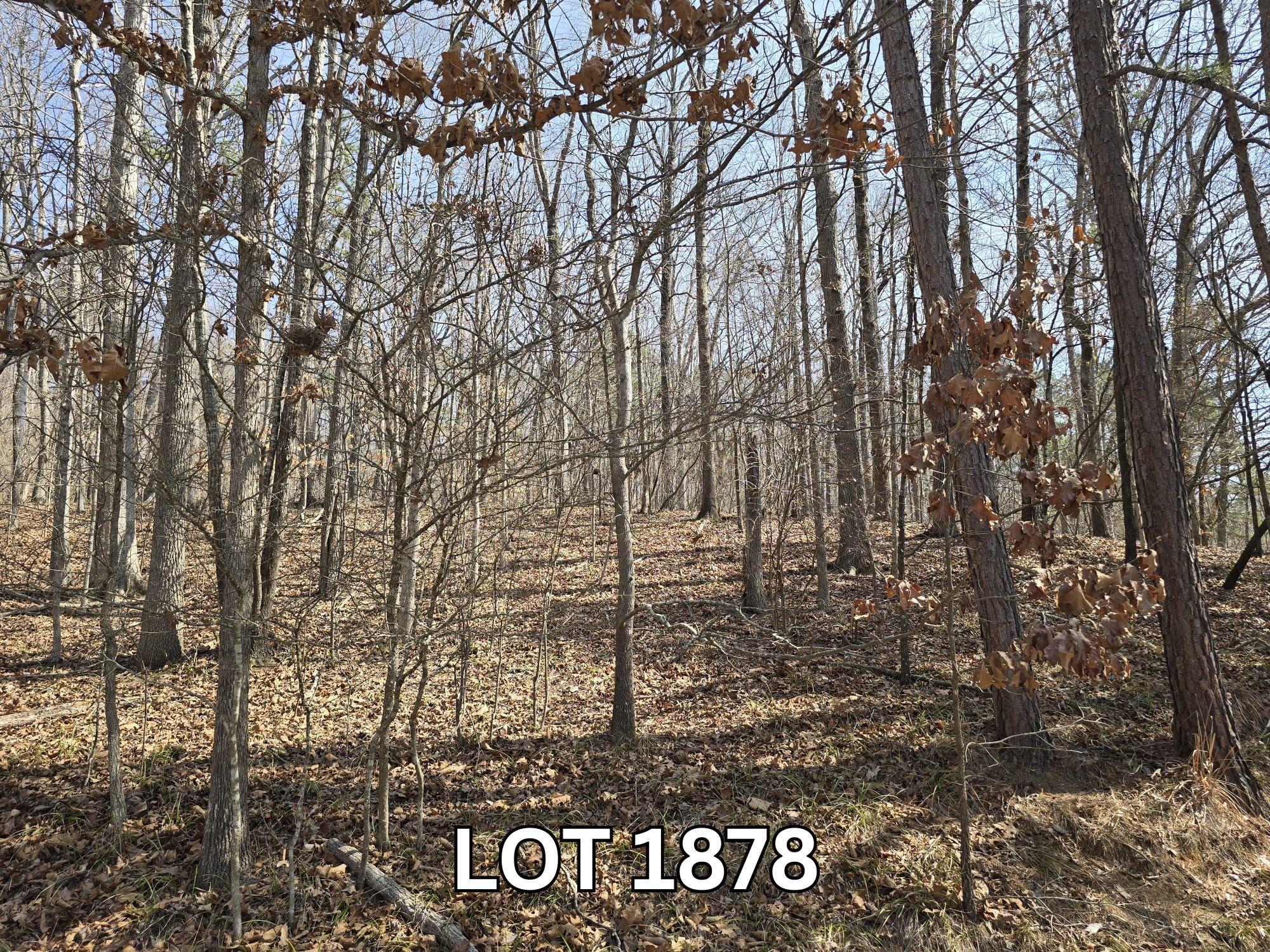 Lot 1878 — Seasonal Lake View — Westminster, SC